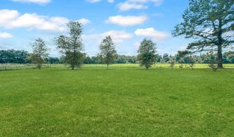 899 Harrisville Braxton Rd Rd, Braxton, MS 39044