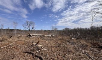 0 County Road 217 Lot 1, Blue Springs, MS 38828