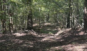 1 8 Miles Due South Down Anding Oil City Rd, Bentonia, MS 39040