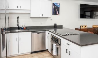 100 E DEAN St 1D, Aspen, CO 81611