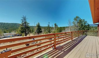 53 Obrien Rd, Bailey, CO 80421