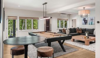 1271 Ute Ave, Aspen, CO 81611
