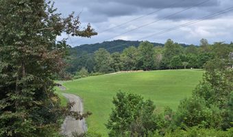 WEAVER HOLLOW Road, Banco, VA 22711