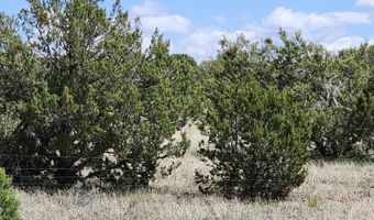 12 B Juniperwood Rnch, Ash Fork, AZ 86320