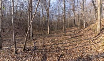 4376 Highway BB, Annapolis, MO 63620