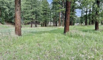 15098 CR 240, Bayfield, CO 81122