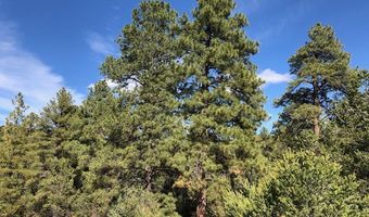 6 One Acre Lots NM 76, Truchas, NM 87578