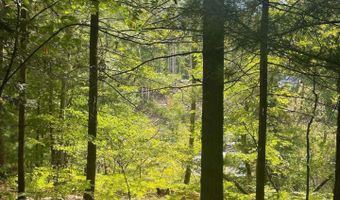 Eagle Nest Lane, Alger, MI 48610
