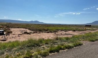 209 231 Indigo Loop 423 & 434, Carrizozo, NM 88301