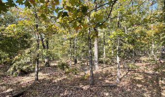 Tract 51 Highway 2, Antlers, OK 74523