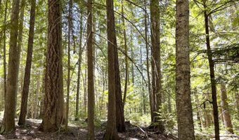 2216 Mosquito Creek Rd, Clark Fork, ID 83811