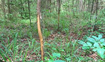 Low Water LN SW, Brookhaven, MS 39601