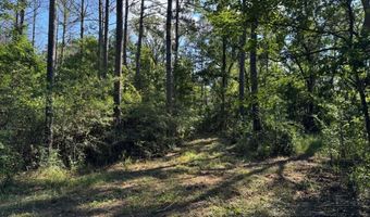 SW Auburn Drive, Bogue Chitto, MS 39629