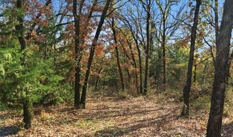 114 Bear Cat Ct, Alvord, TX 76225