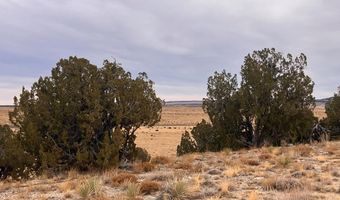 County Road 91.9, Aguilar, CO 81020