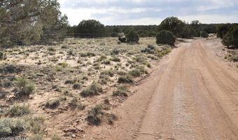 176 CR N5549, Concho, AZ 85924