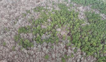 Cr 127, Abbeville, MS 38601