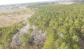 Tbd Highway 461, Ahoskie, NC 27910