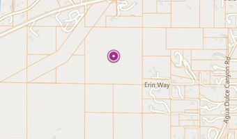 Vic Sierra Highway Mint Road, Agua Dulce, CA 91390