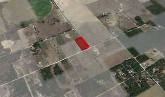 NW 50th STREET, Bell, FL 32619