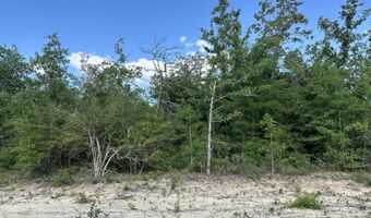 NW Lakeside Avenue, Altha, FL 32421