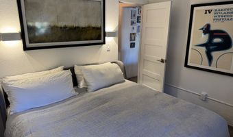 927 VINE St, Aspen, CO 81611