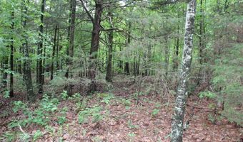 E Mountain Road, Bee Branch, AR 72013