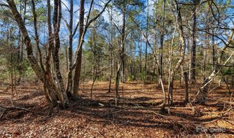 Old Douglass Road unit 3 3, Blackstock, SC 29014