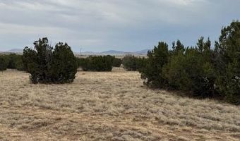 76 County Road 8010, Concho, AZ 85924