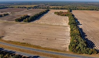 3431 Gladys Ct, Albany, GA 31705