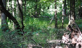 8000 E 1000 S, Austin, IN 47102