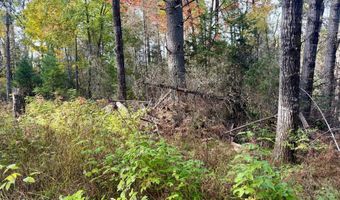 9403 CTH A, Alvin, WI 54542