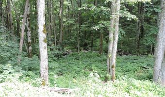 103 Chucks Ln, Bakersville, NC 28705