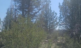 Toddy Drive Lots 18,19,&20, Beatty, OR 97621