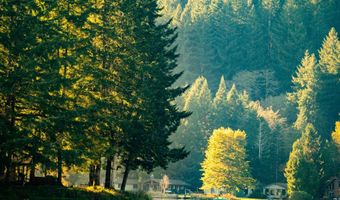 71690 NORTHSHORE Dr, Birkenfeld, OR 97016