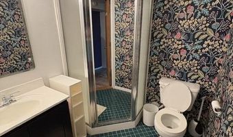 213 W Summit St, Ann Arbor, MI 48103