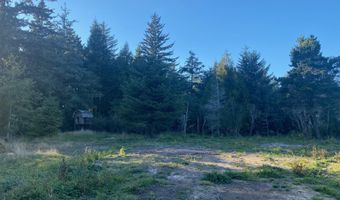 Bill Creek Ln, Bandon, OR 97411