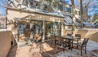 326 W Hopkins Ave, Aspen, CO 81611