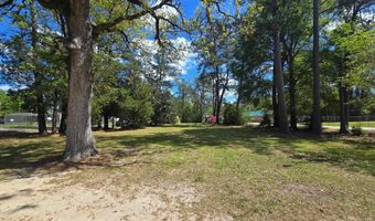 98 Old Cemetary Rd, Andrews, SC 29510