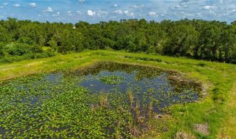 2593 NW GENES LITTLE ACRES Ave, Arcadia, FL 34266