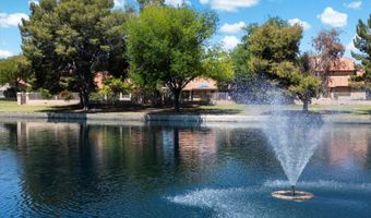 401 N Cholla St, Chandler, AZ 85224