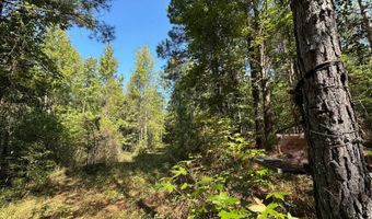 3 Highway 790, Ackerman, MS 38963
