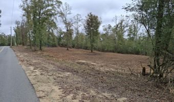 Tommy Tucker Road lot 4, Altha, FL 32421
