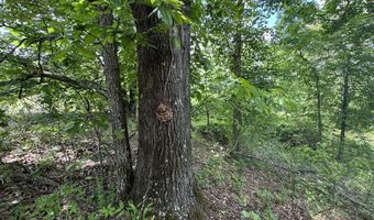Rutherford Road, Batesville, MS 38606