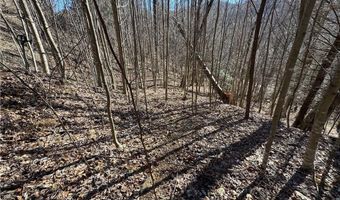 209 Hump View Trl, Banner Elk, NC 28604