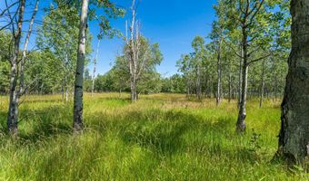 340 Holt Dr, Bigfork, MT 59911