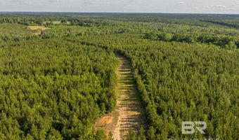 Flowers Road, Bay Minette, AL 36507