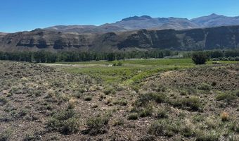 6 Homestead Trl, Challis, ID 83226
