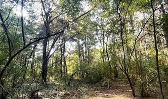 Tbd FM 44 E, De Kalb, TX 75559