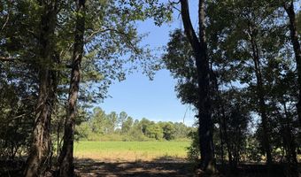 006 H Wallace Buie Rd, Ashford, AL 36376